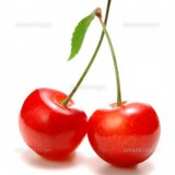 チェリーピンクロゴ