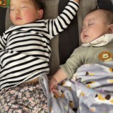 はしの　あかねロゴ