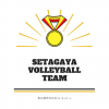 世田谷区バレーボールチームロゴ