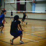 シュウスケロゴ