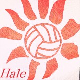 バレーチーム HALE -ハレ-ロゴ