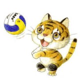 ciel　（小・中・高校生向けバレー塾）ロゴ