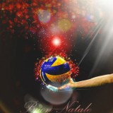 Cassis-カシス-ロゴ