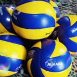 チーム多摩たまロゴ