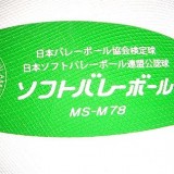 目黒区ソフトバレーサタデーズロゴ